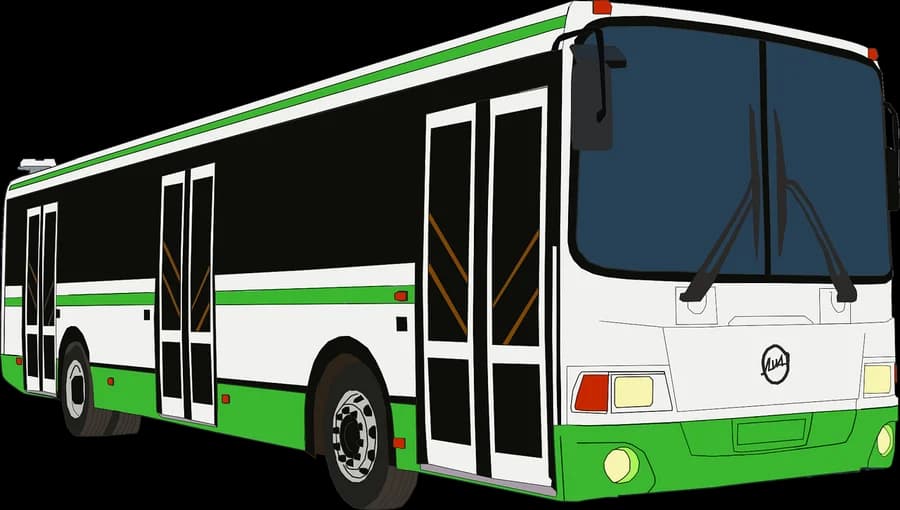 Автобусы М2 / М3